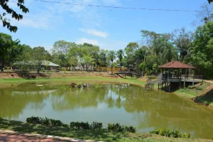Como está a situação do Horto Florestal?